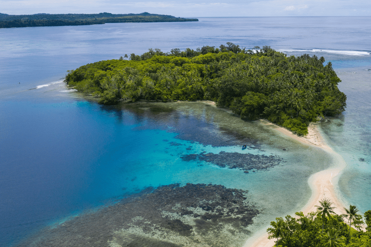 Duiken In Papoea Nieuw Guinea EWDR